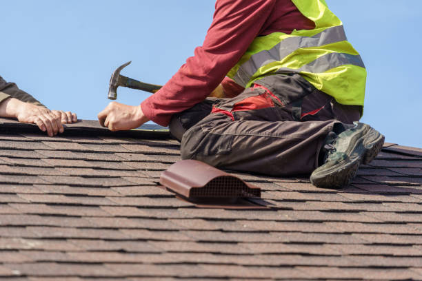 Best Roof Repair Services  in Mcgaheysville, VA