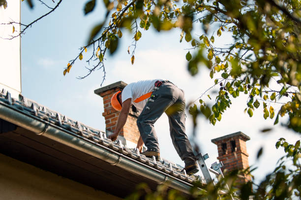 Best Storm Damage Roof Repair  in Mcgaheysville, VA