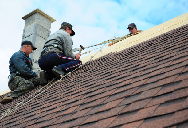 Best Gutter Installation and Roofing  in Mcgaheysville, VA